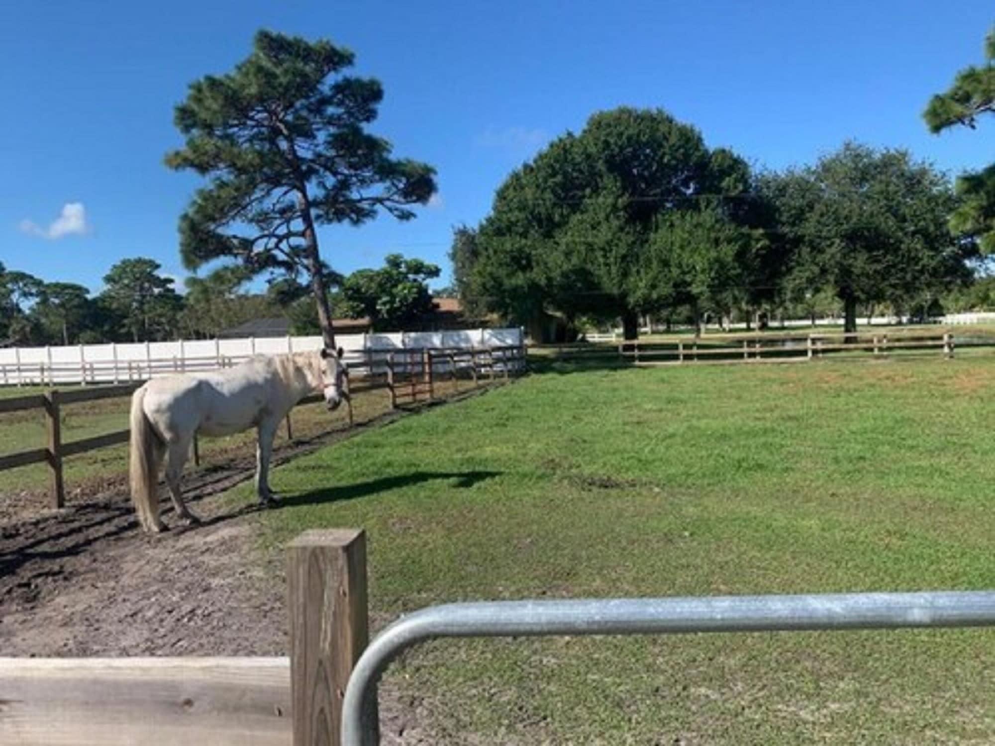 Hotel PONDEROSA Family Fun Farm Melbourne Exterior foto